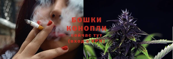 спайс Гусев