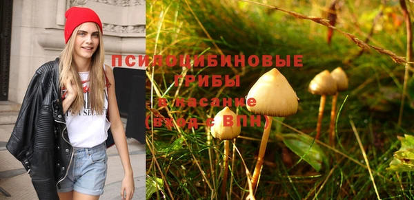 дурь Гусиноозёрск