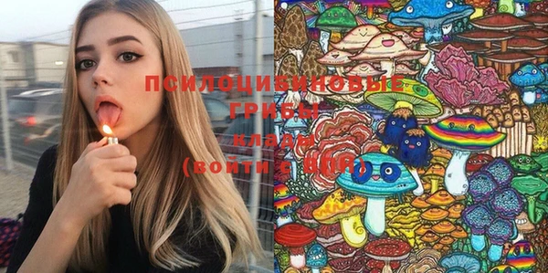 дурь Гусиноозёрск