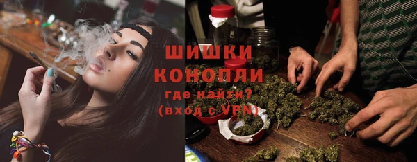 спайс Гусев