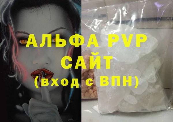 спайс Гусев